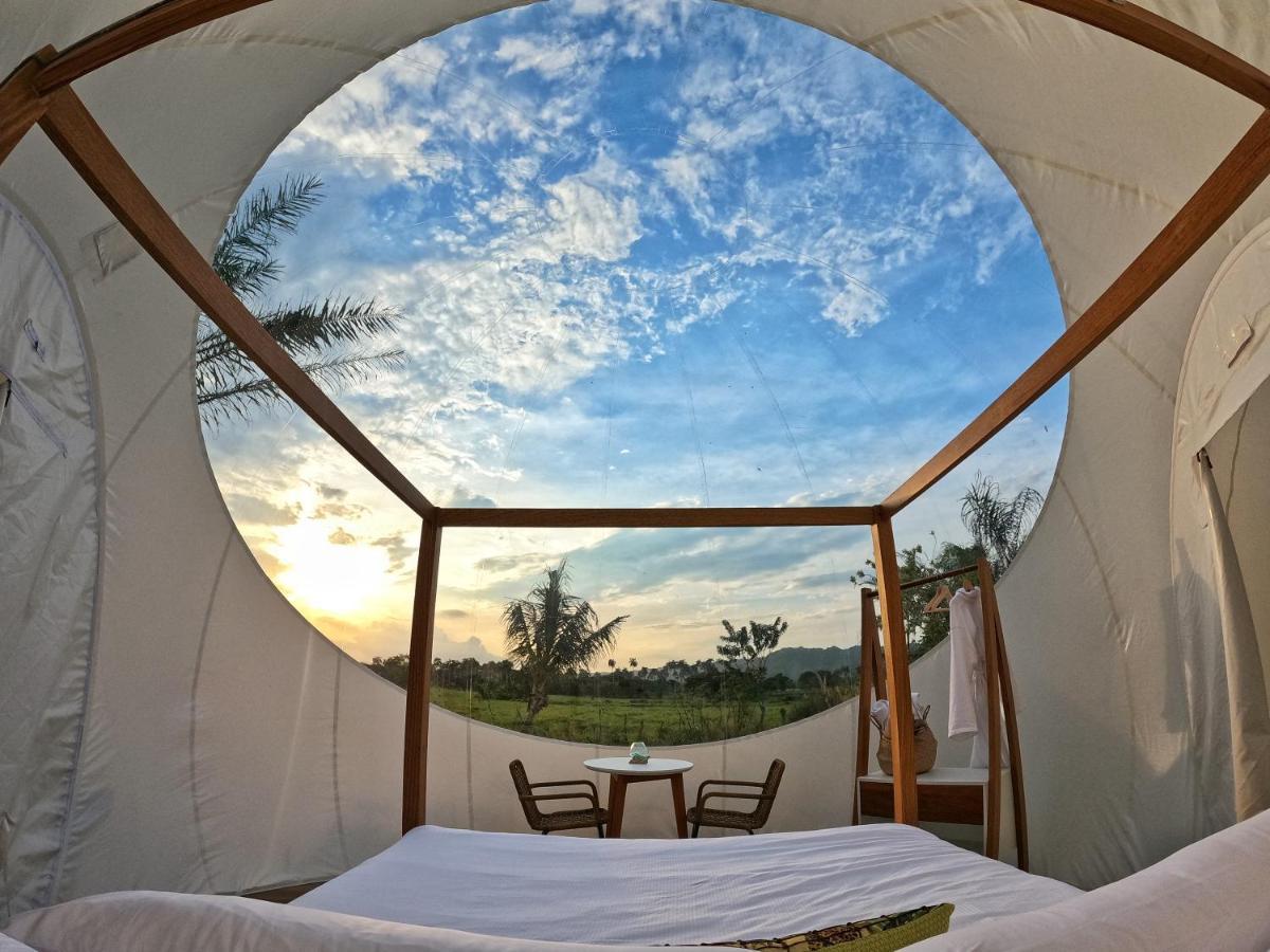 Green Land Bubble Glamping By Mint Cabarete Exterior foto