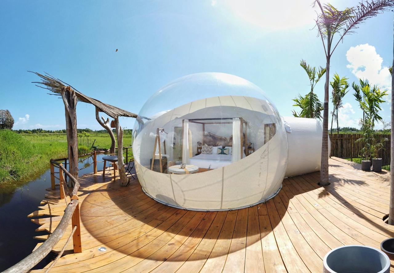 Green Land Bubble Glamping By Mint Cabarete Exterior foto