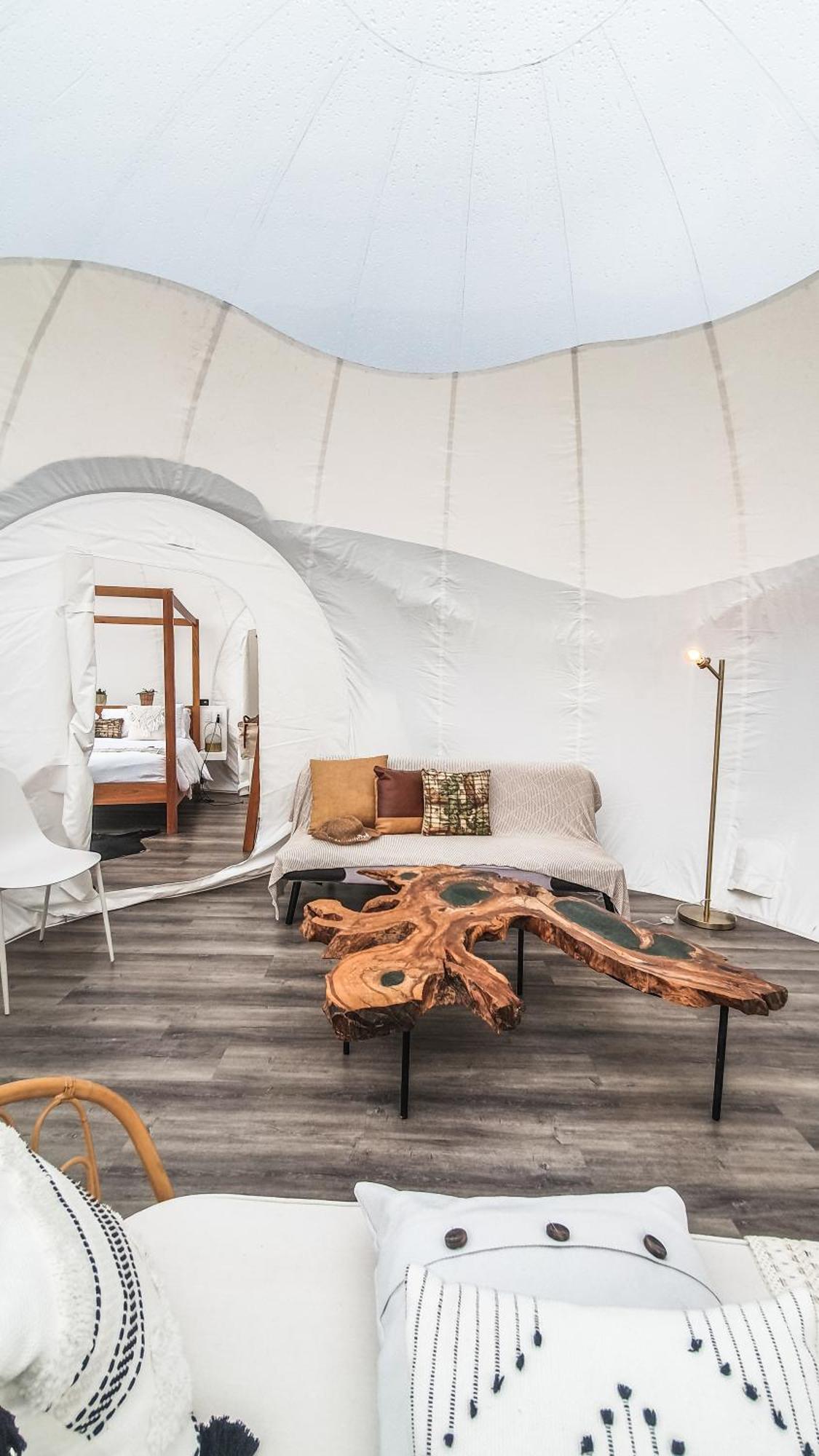 Green Land Bubble Glamping By Mint Cabarete Exterior foto
