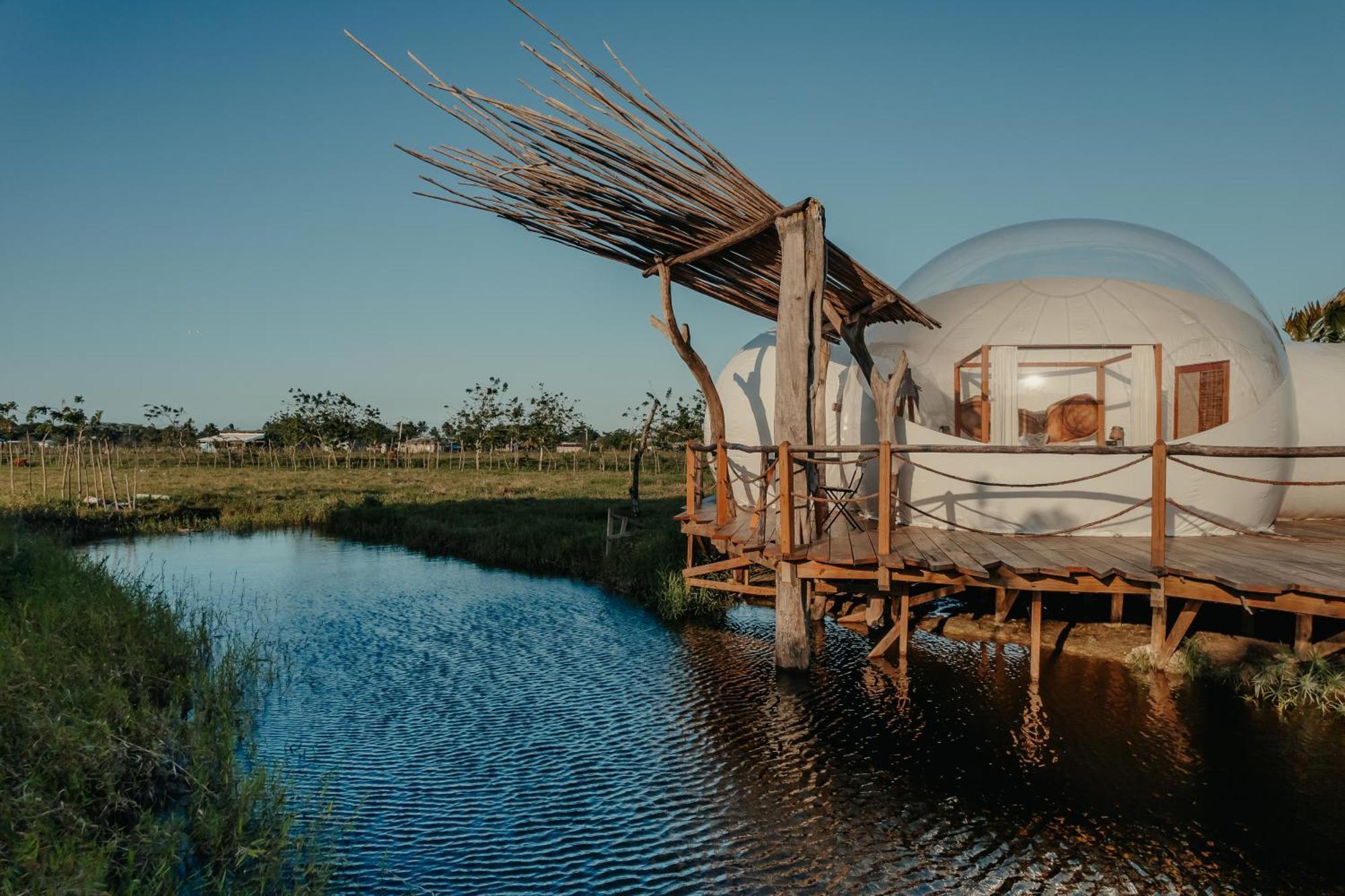 Green Land Bubble Glamping By Mint Cabarete Habitación foto