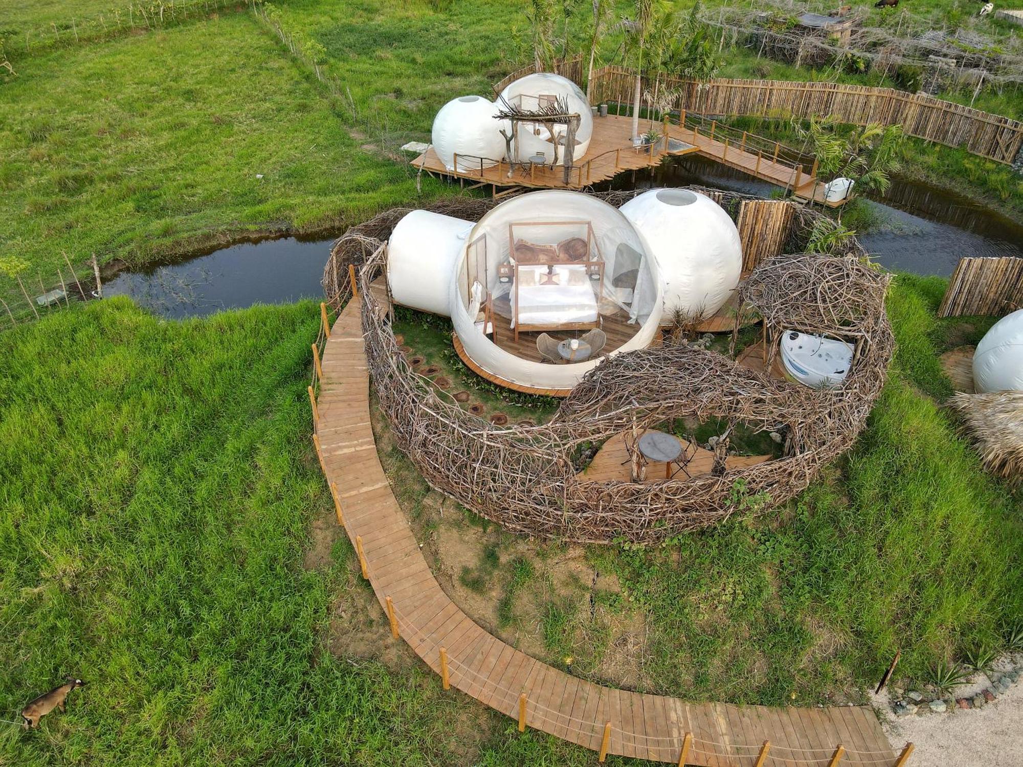 Green Land Bubble Glamping By Mint Cabarete Habitación foto