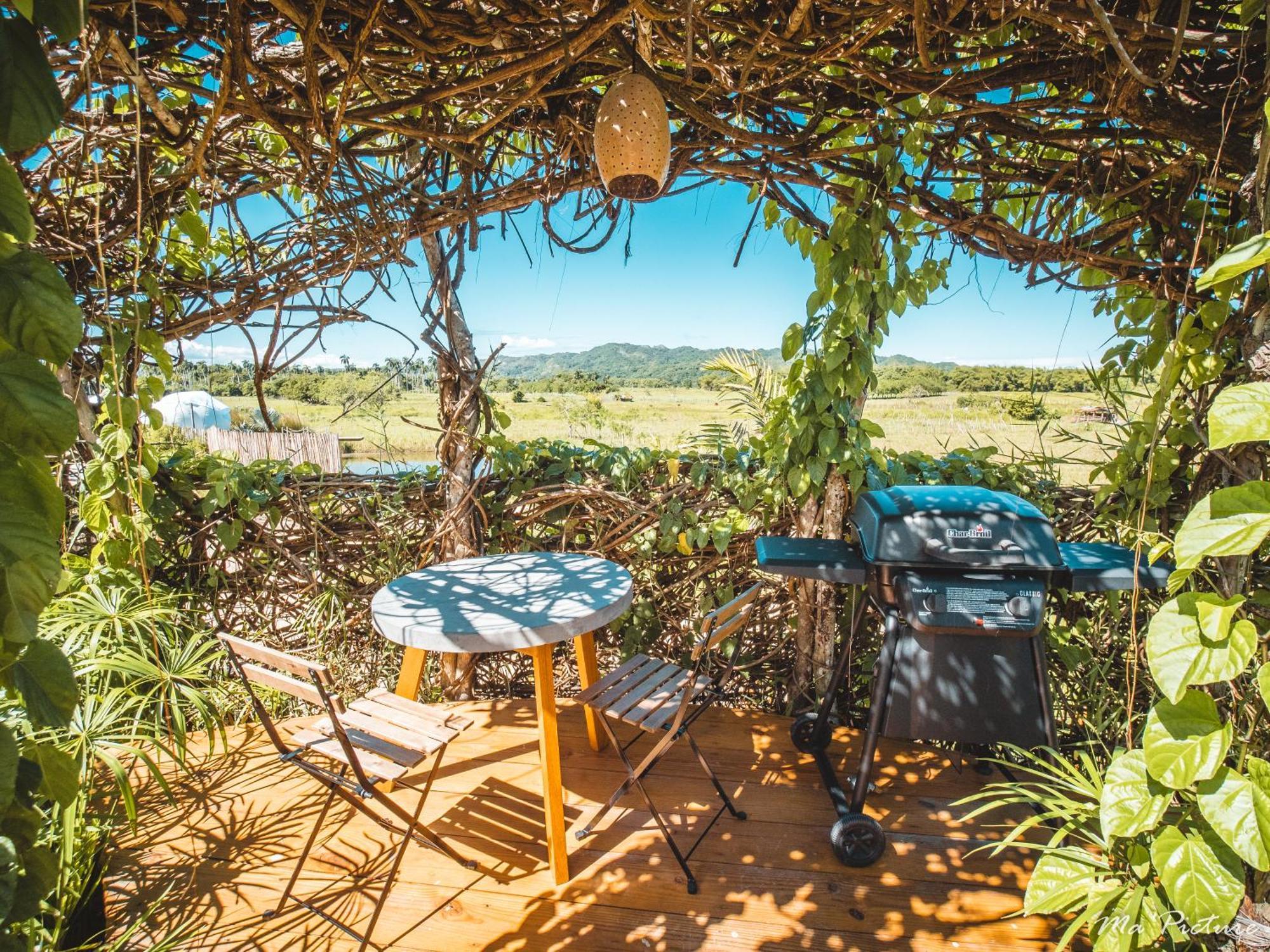 Green Land Bubble Glamping By Mint Cabarete Habitación foto