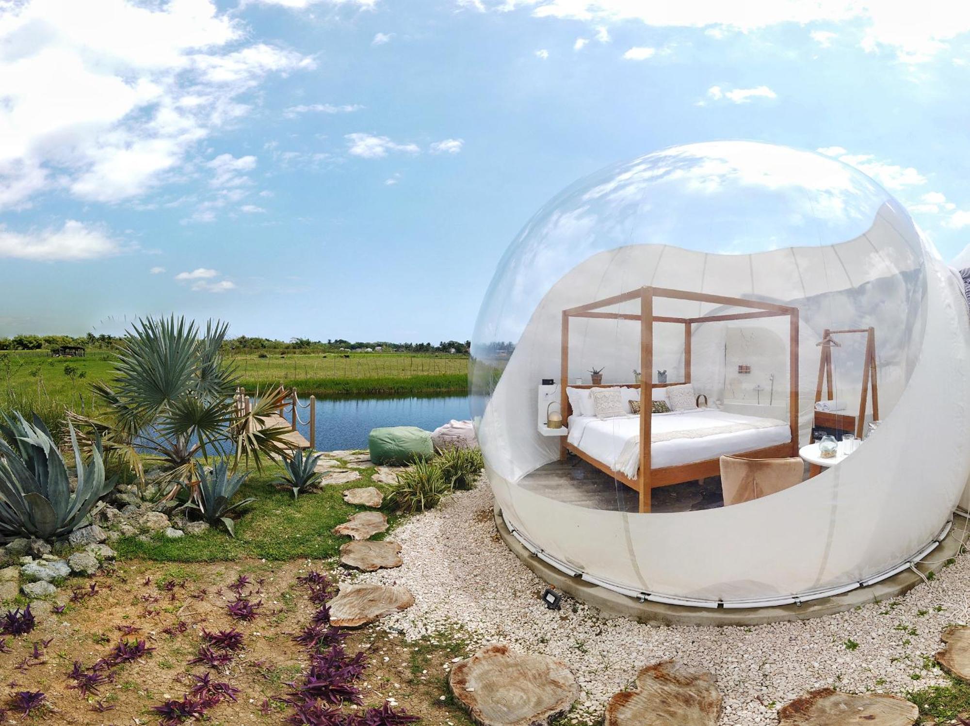 Green Land Bubble Glamping By Mint Cabarete Habitación foto