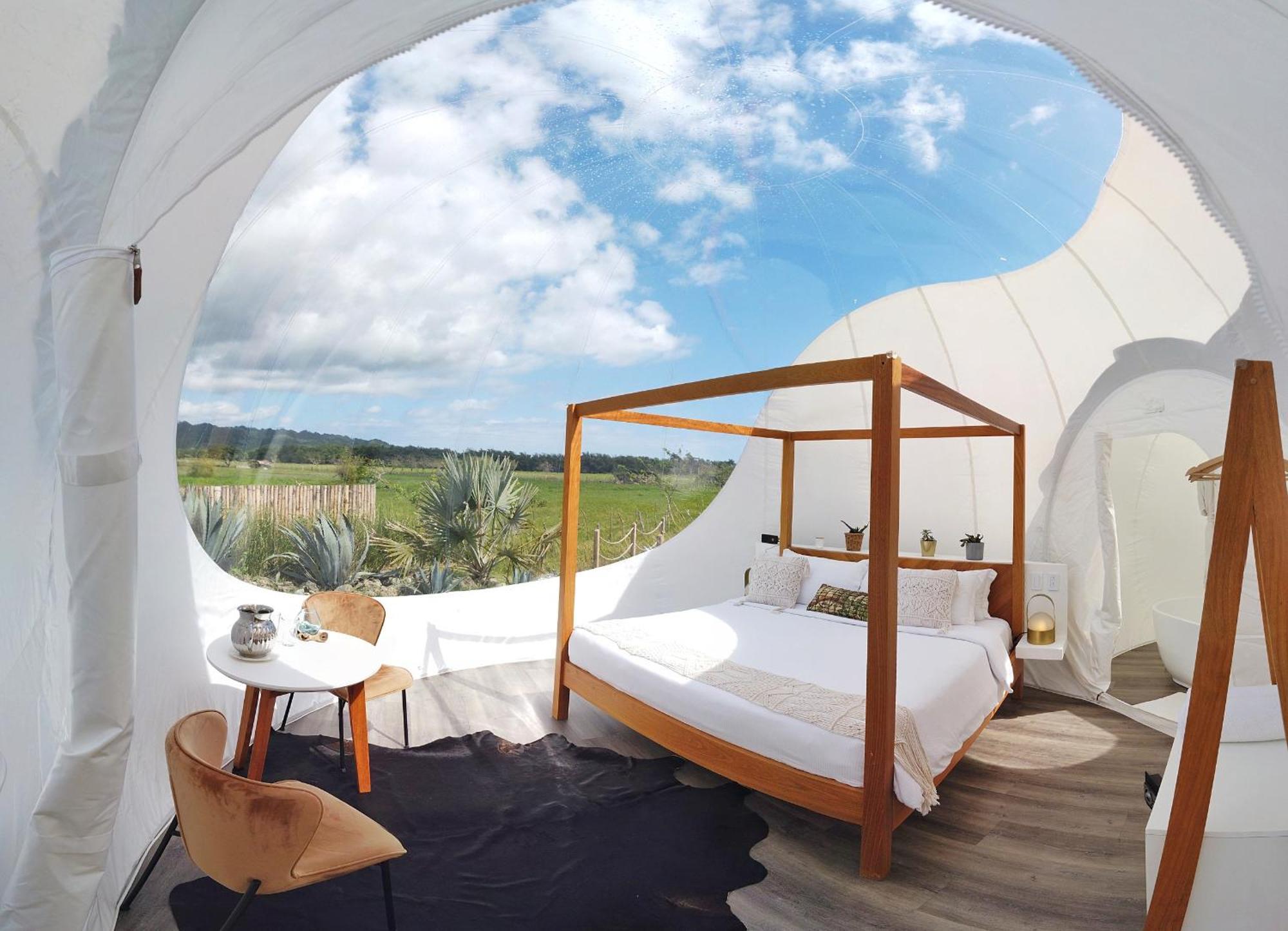 Green Land Bubble Glamping By Mint Cabarete Habitación foto