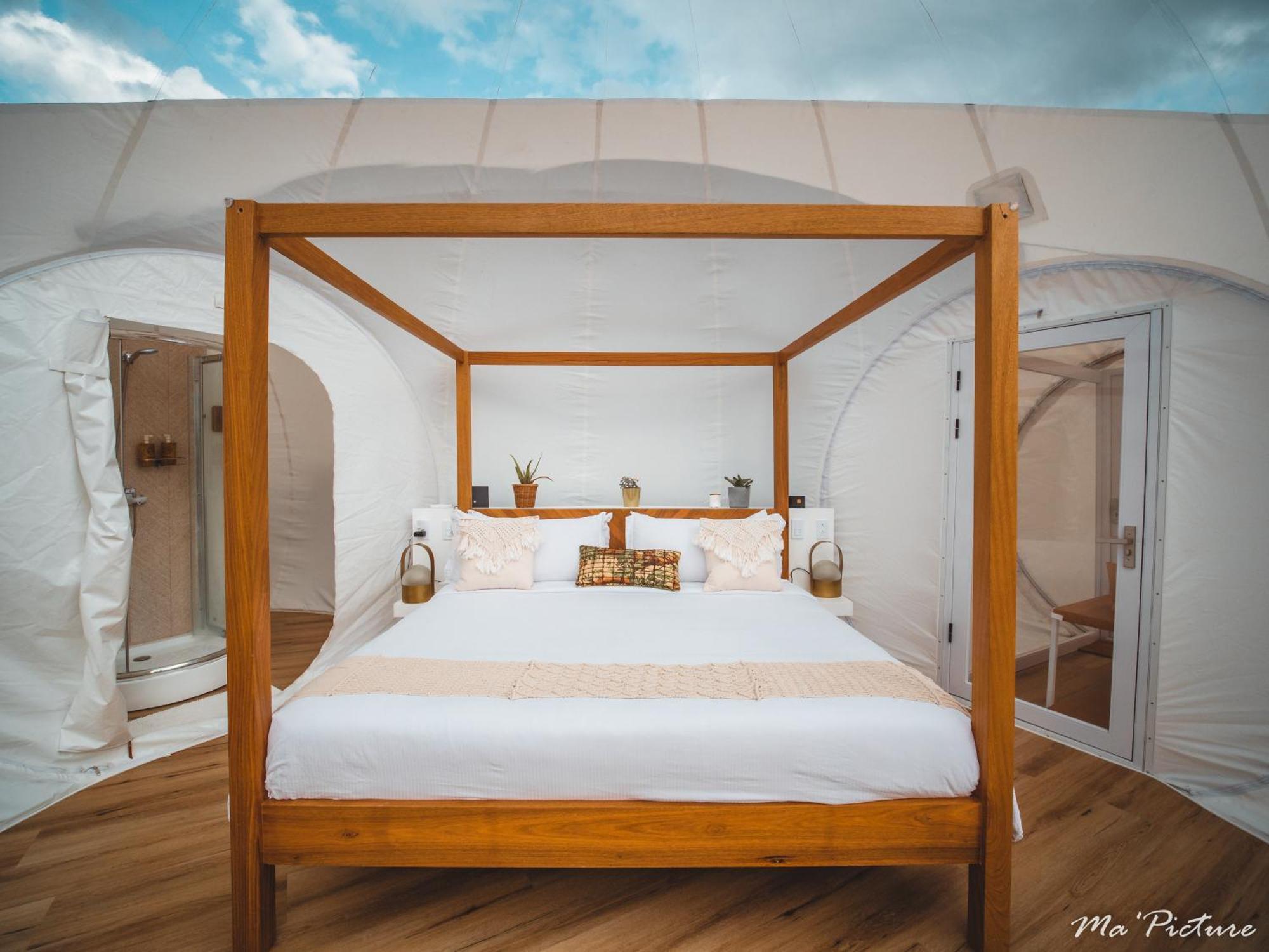Green Land Bubble Glamping By Mint Cabarete Habitación foto