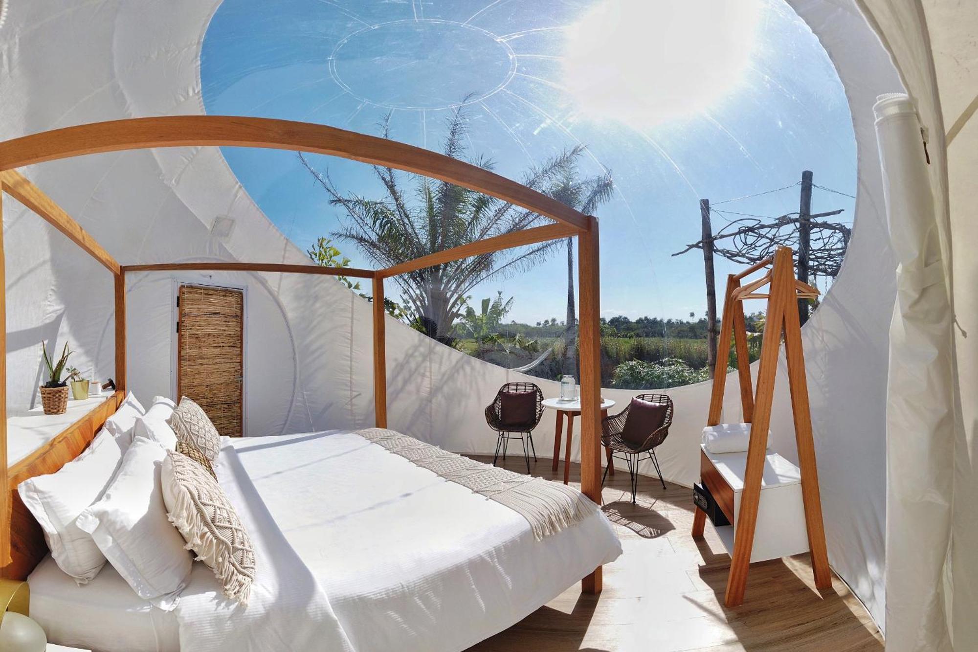Green Land Bubble Glamping By Mint Cabarete Habitación foto