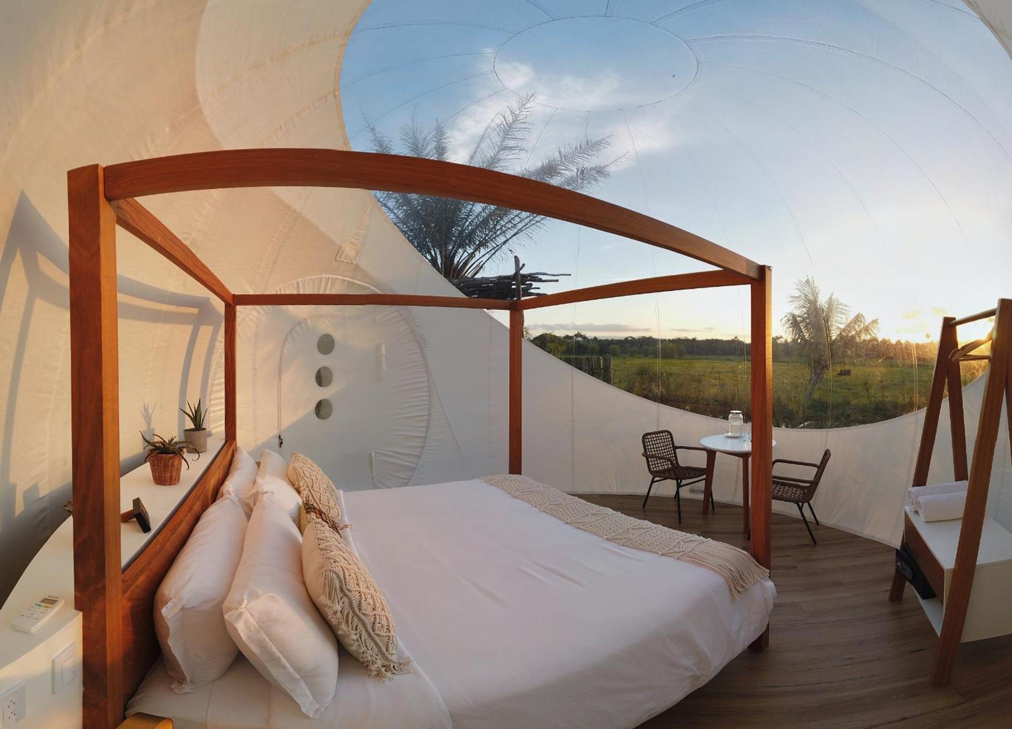 Green Land Bubble Glamping By Mint Cabarete Habitación foto
