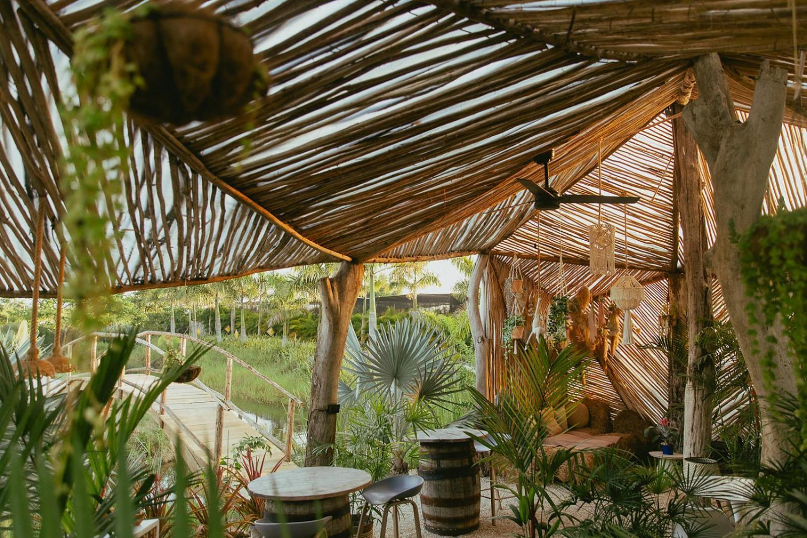 Green Land Bubble Glamping By Mint Cabarete Exterior foto