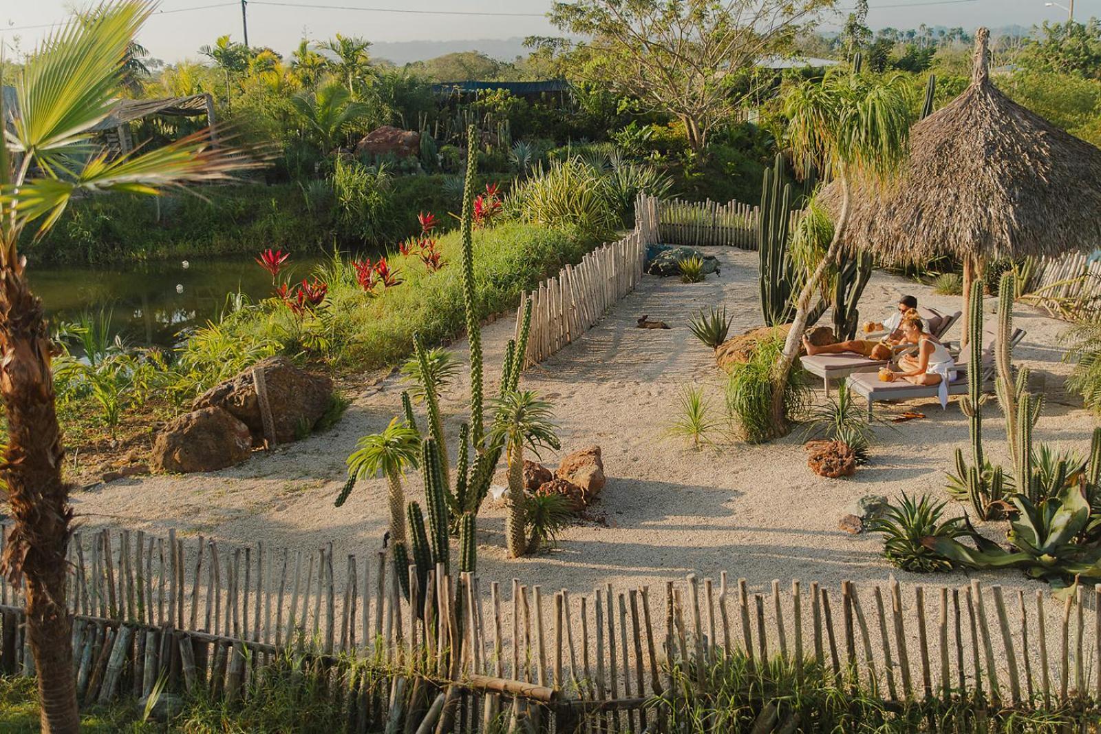 Green Land Bubble Glamping By Mint Cabarete Exterior foto