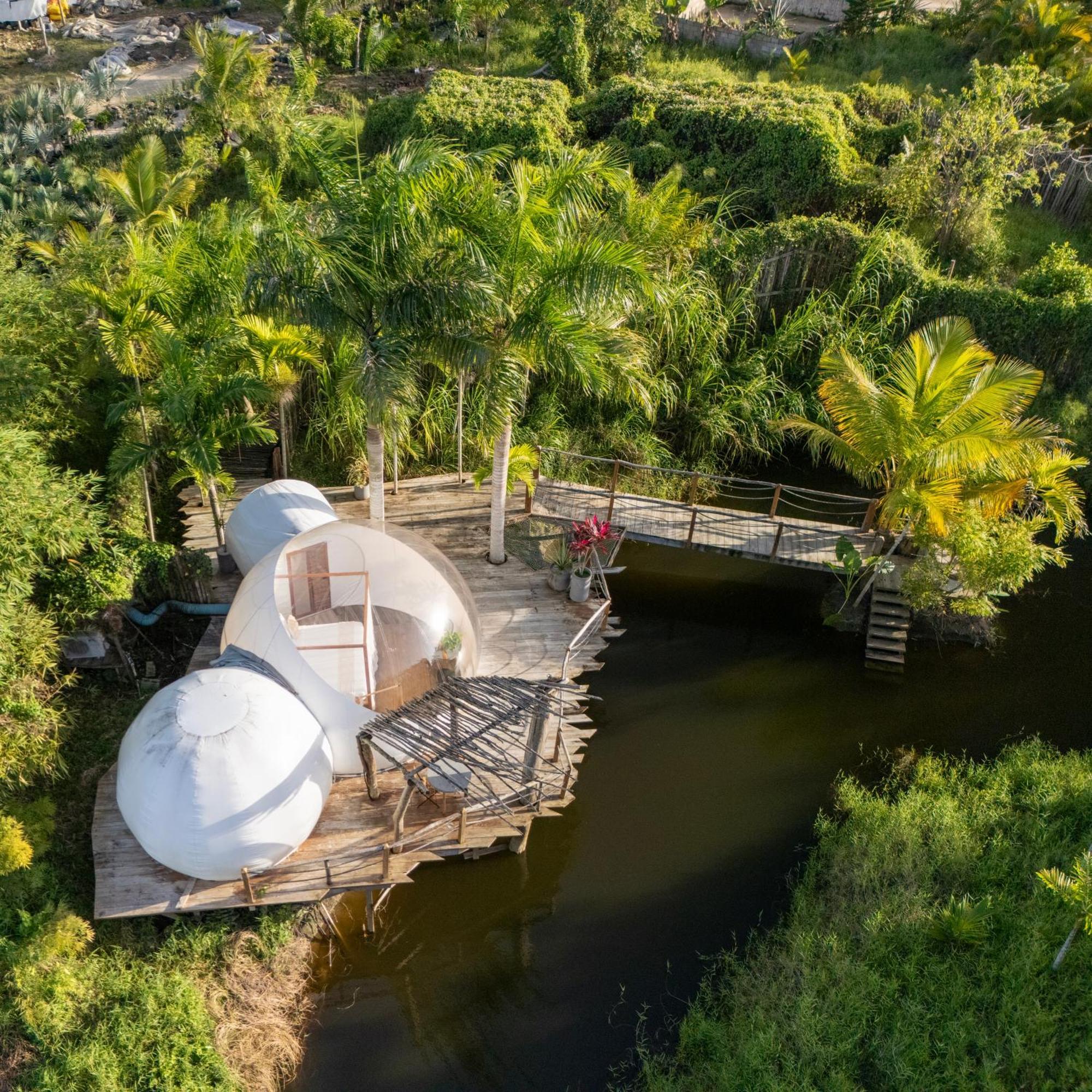 Green Land Bubble Glamping By Mint Cabarete Exterior foto