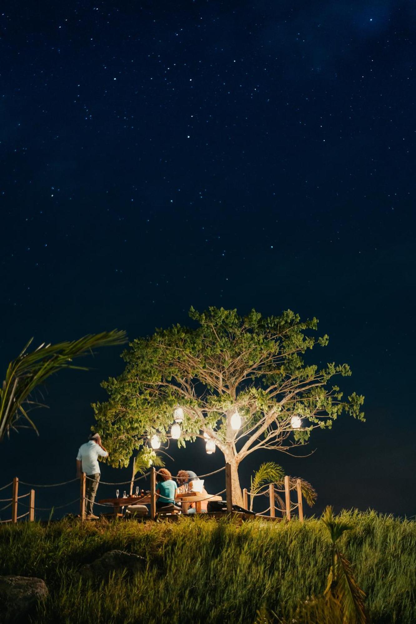 Green Land Bubble Glamping By Mint Cabarete Exterior foto